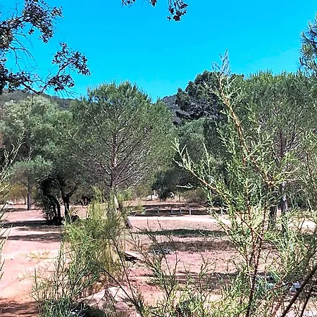 Chalet Petralegna